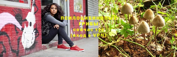 ПСИЛОЦИБИНОВЫЕ ГРИБЫ Волоколамск