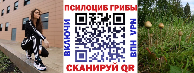 Галлюциногенные грибы мицелий  как найти наркотики  Луза 