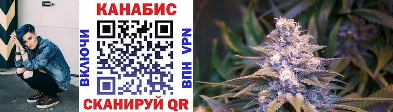 Конопля планчик Луза